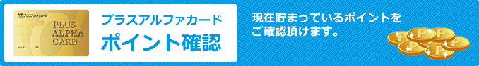 ポイントを確認する