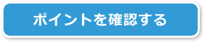 ポイントを確認する