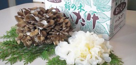 提携加盟店